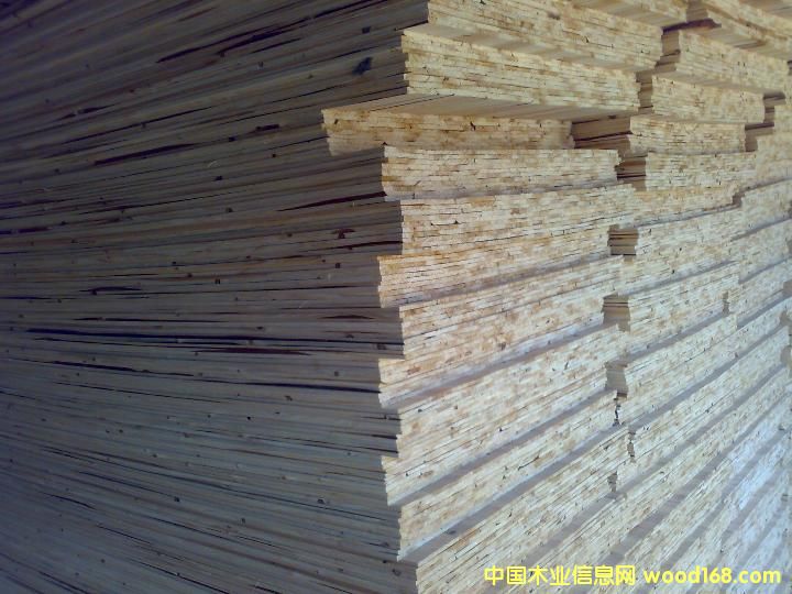 ɼľƴ���Ԕ����B